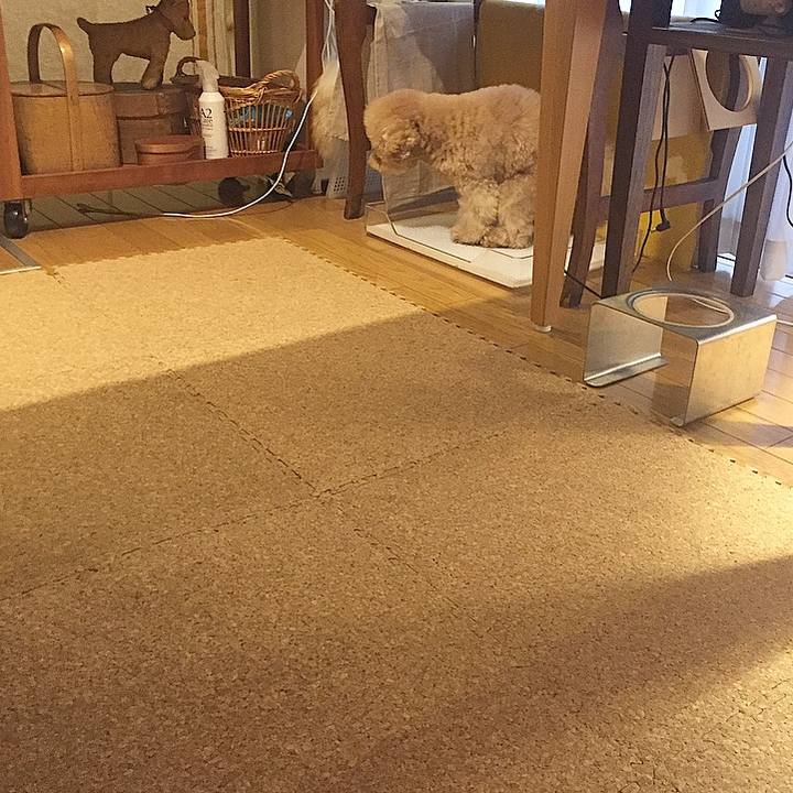 8c88340c a6a2 451f 96aa 8335208e8a47