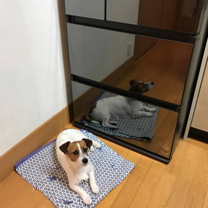 8c88e5e5 d8d3 44d6 a3cf 9d8ea834a161