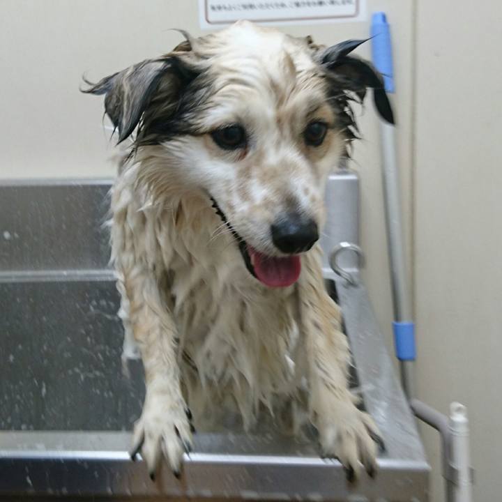 8c8a4390 6fc0 4e67 8013 6d136271ed98