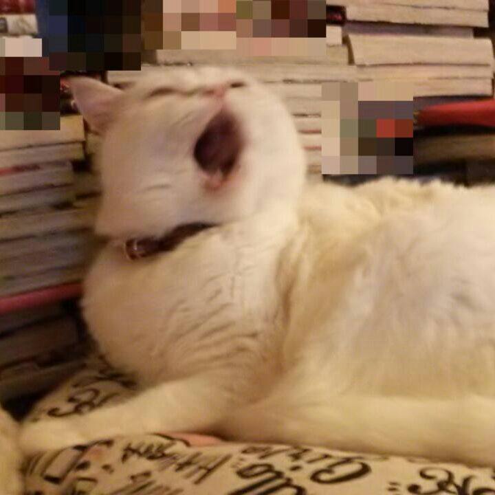 8c8a49e7 5a01 4532 abe2 e3eee18c5dcc