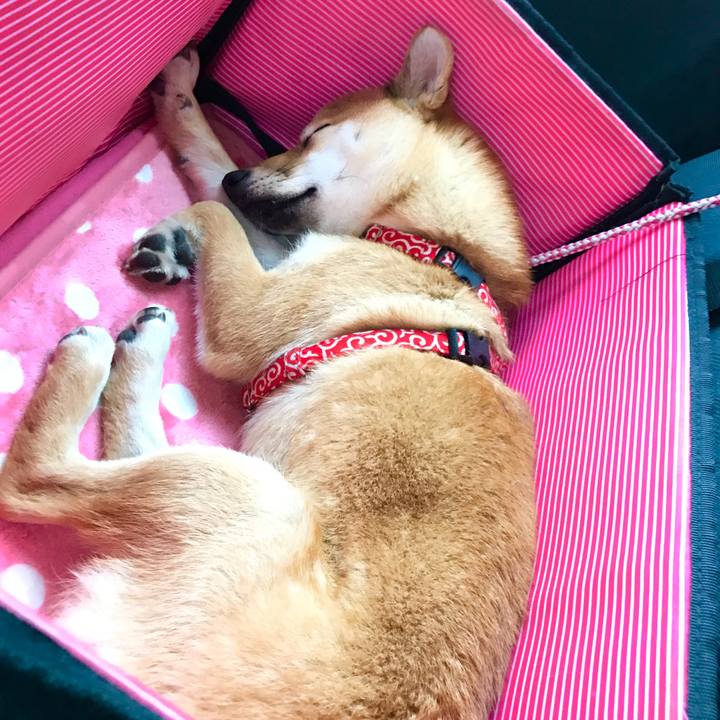 8c8a738f e8b7 4f7b 8ce4 5005498e1899