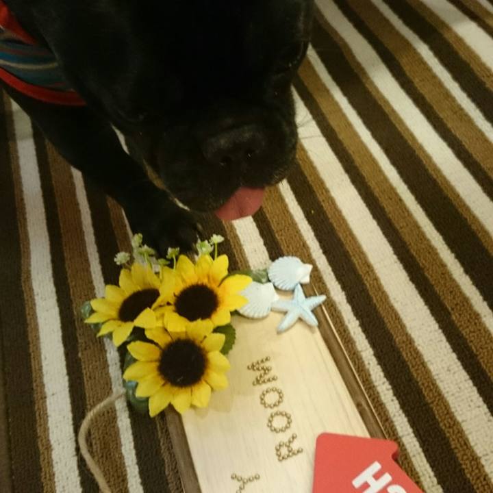 8c8a7efc d3fc 470d 9a80 643b50973e25