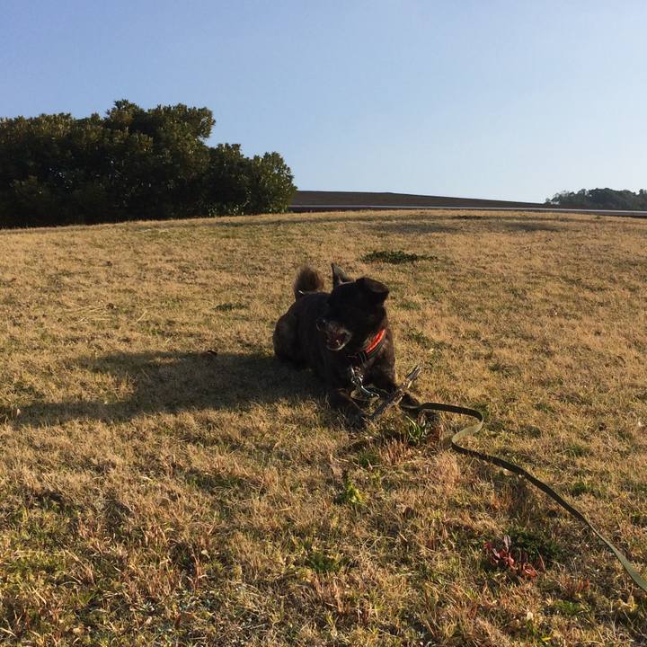 8c8aa844 7e8c 497d a9f8 48bf44de6620