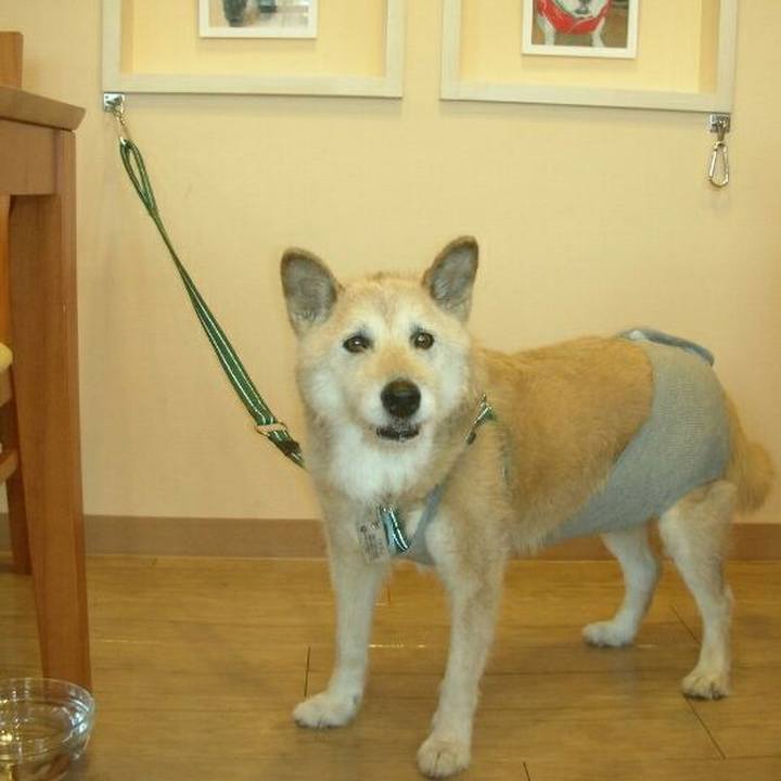 8c8ad10e e6af 4526 925b 15fec74e9845