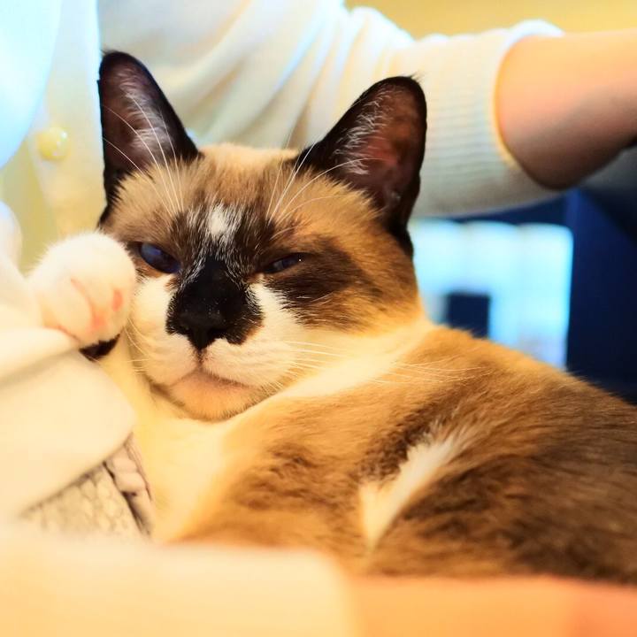 8c8dad0f 7a48 4009 a240 3bcd151dccbf