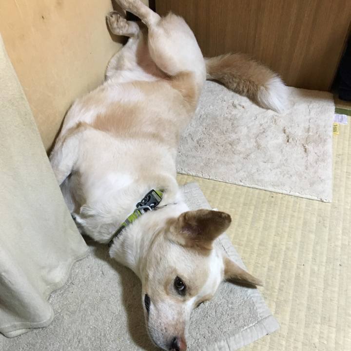 8c8de4b8 63ed 4611 ae4b c306c215d542