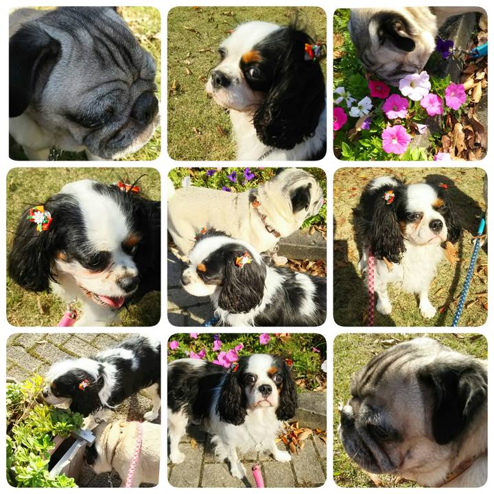 8c8e37d6 d1df 4674 84c4 4db459ec5054