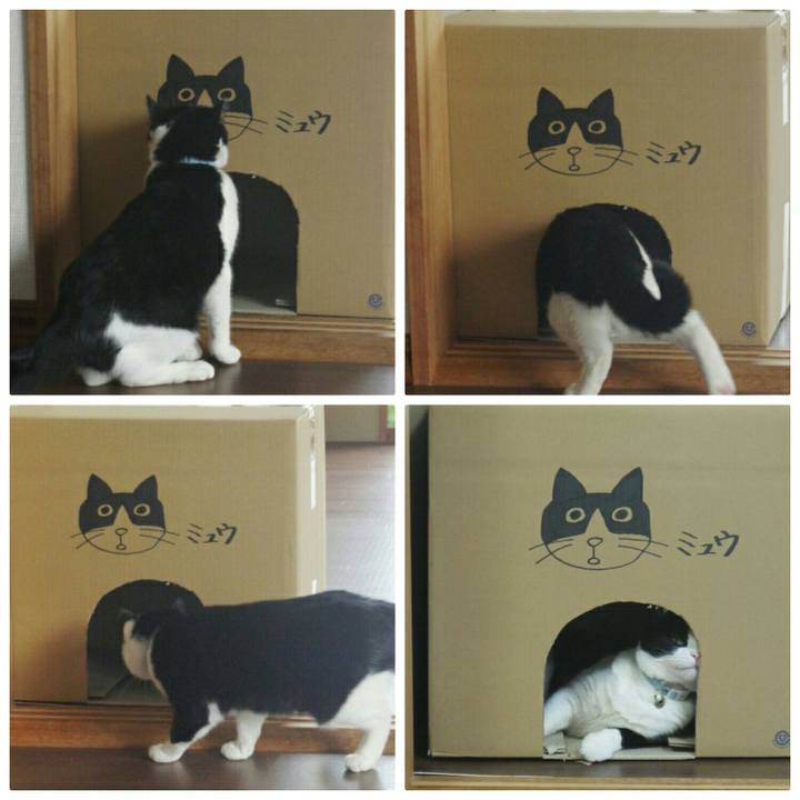 8c8e62b4 bde7 4061 a682 dad8eb07eb7b