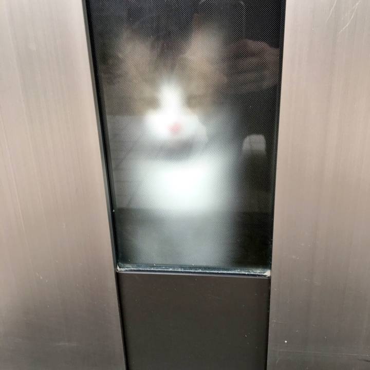 8c8ef40a 3608 423b b651 0c7e35e9cb50