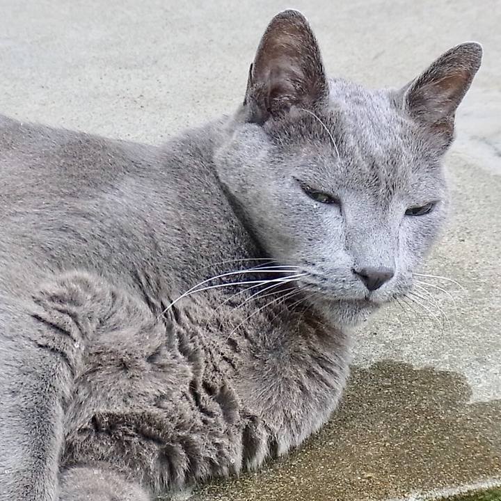 8c905e67 30db 4db7 afc1 2983402b5c39