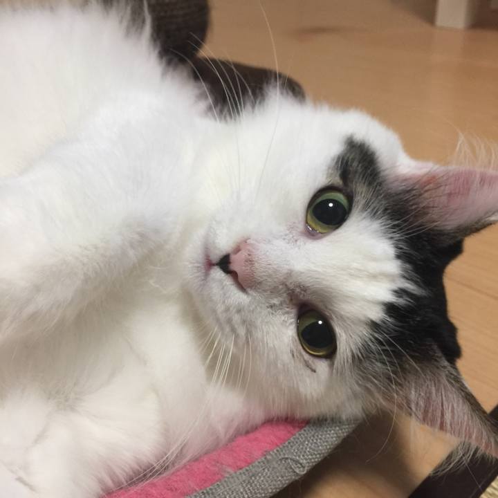 8c908db6 2d5c 4179 bd0c a4e526c3edbe