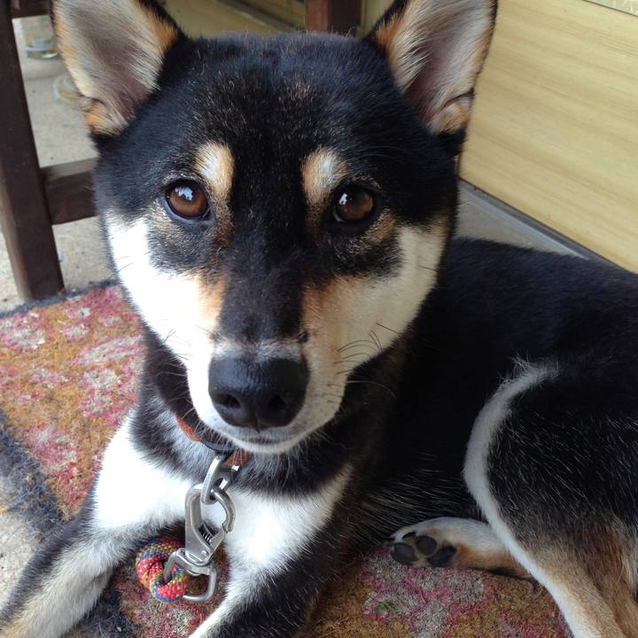 8c90c1ef f87d 49bf 940e 8b42a4c5eb7d