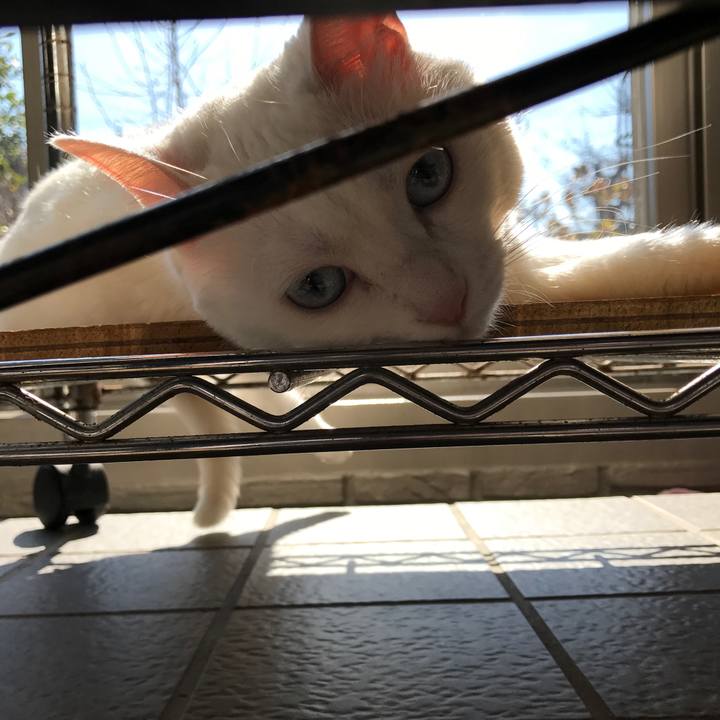 8c91afd6 3e37 41a0 b3d7 f9a48280184a