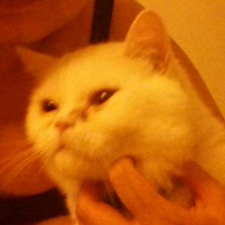 8c9238bc 502d 4918 91c0 f3139b0289d5