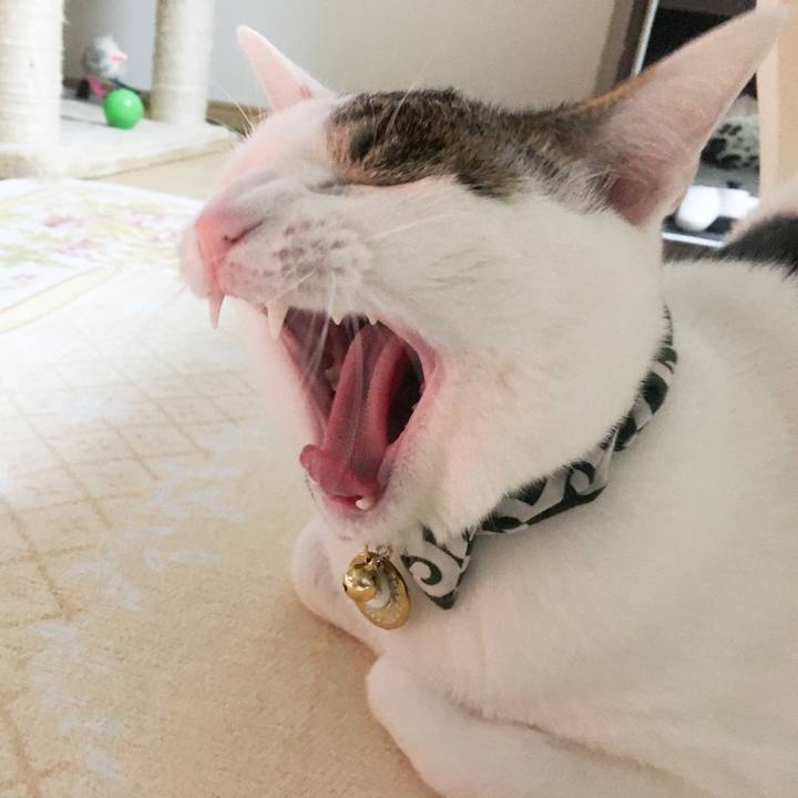 8c9289b7 9ac2 4c6b a354 cff004b51758