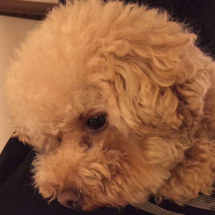 8c929919 ecc1 47f0 b6fc f99fdbbd248c