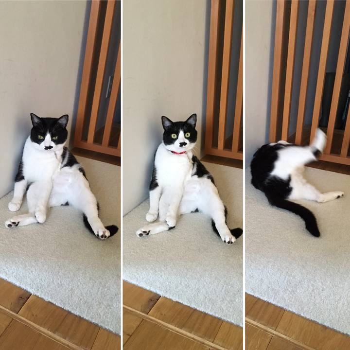 8c934752 2491 4f72 aec8 ecc21bb312d8