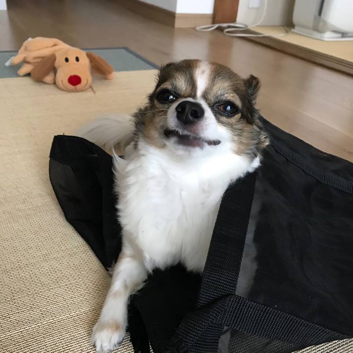 8c948ca4 c50c 452a 8bd7 31b4f19bb9b0