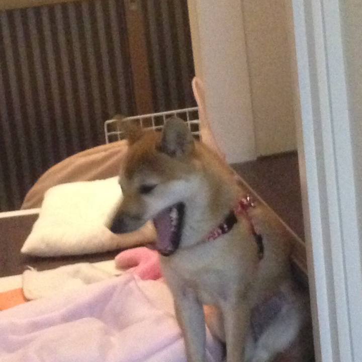 8c949cde cb53 49da b595 3dedffb04ca4