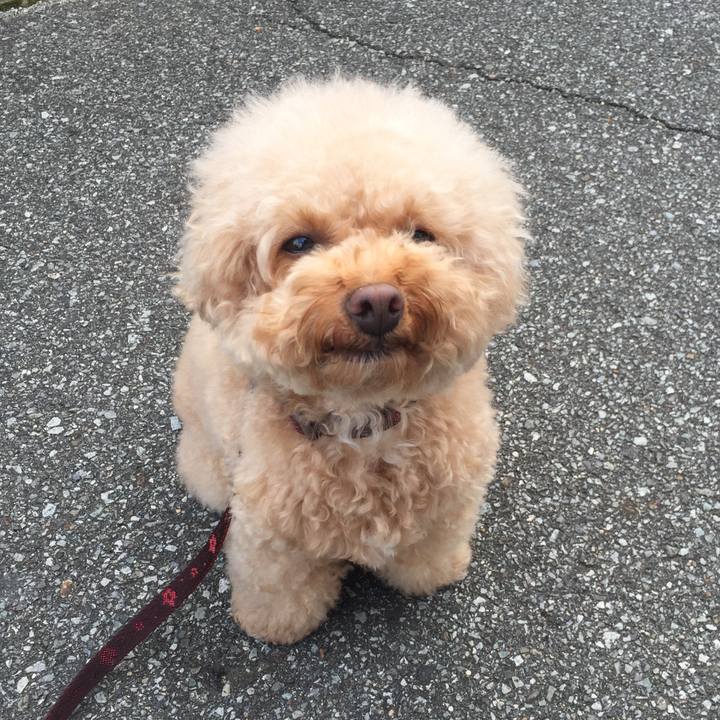 8c957606 c184 45d5 9af8 0367a7c96453