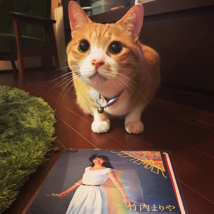 8c960033 e0b9 447f ac19 66e196f39325