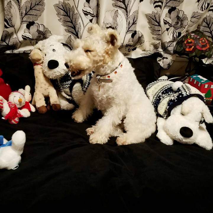 8c965925 99f6 48d7 b8cf 00117ada2094