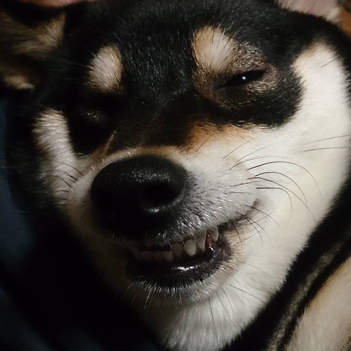 8c96a7fe 166e 4a8e 9910 06c8dc8671b2