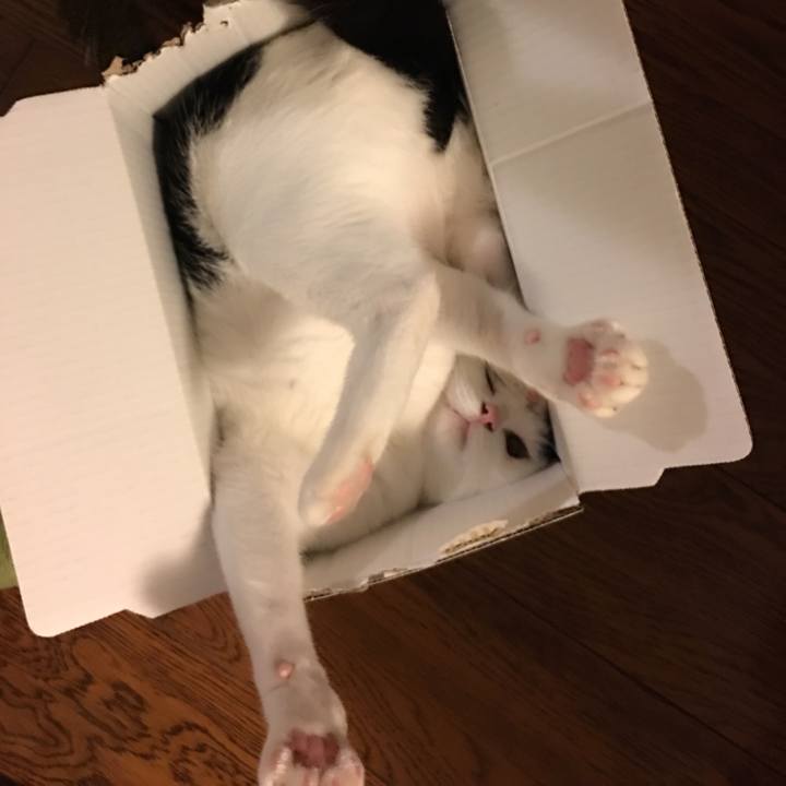 8c97d088 8210 4d60 8b7e 3fc65d733aff