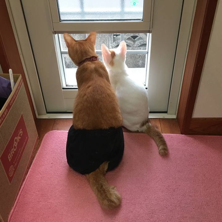 8c97e2f1 091e 48de 9c48 ae84dc21e2d1