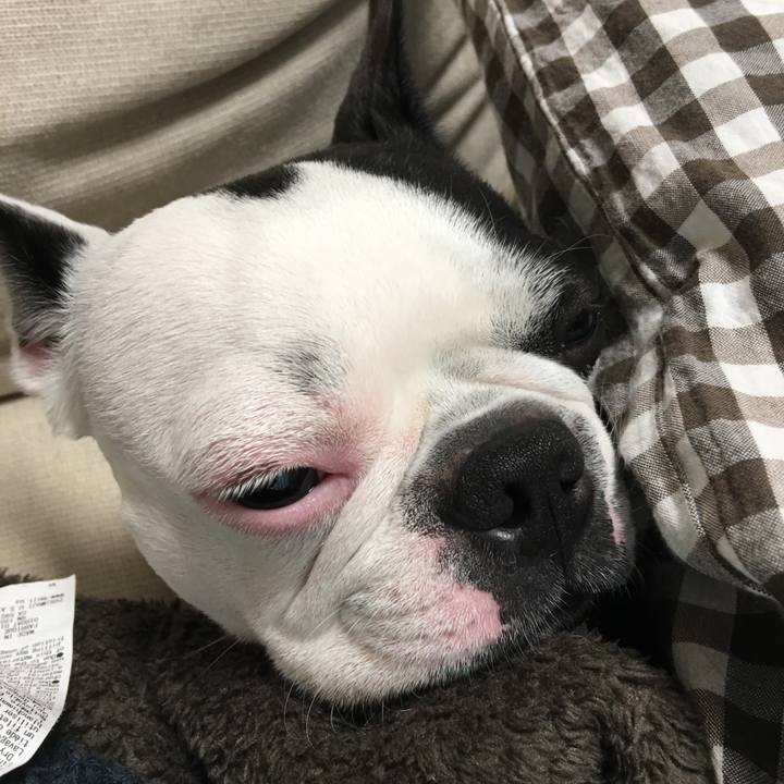 8c9846a3 b89e 42bc 8c59 4980c2193ec1