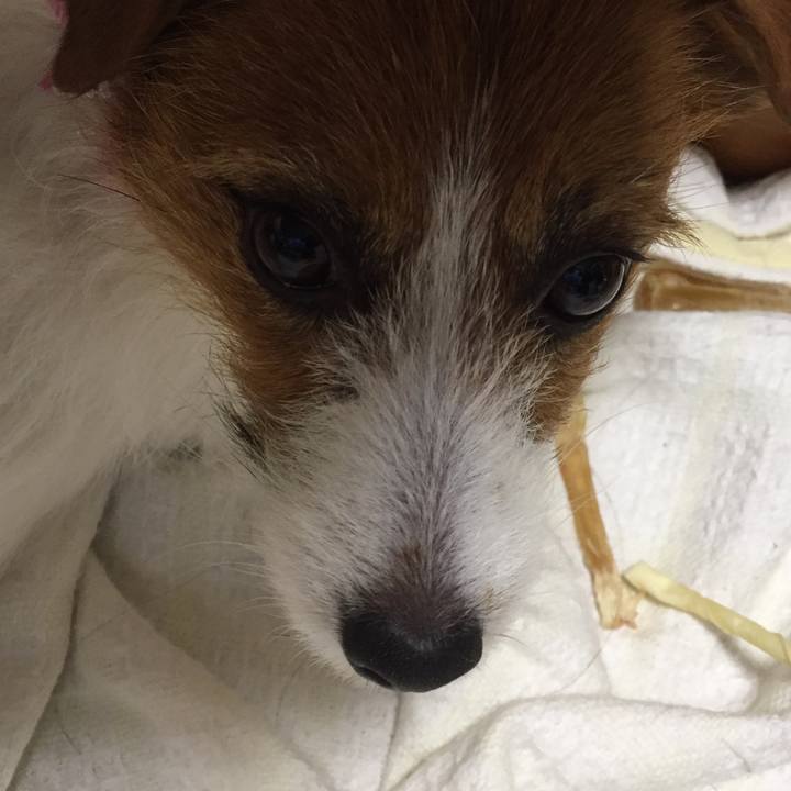 8c98a536 ecf1 41d0 9763 cf88f9e8270d