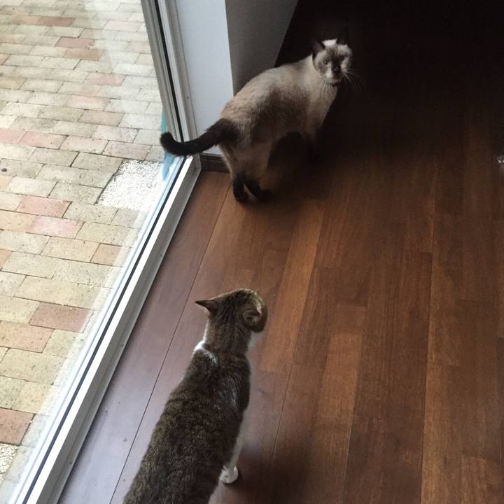 8c98ef73 3a66 4420 8e93 8b3b1bb56951