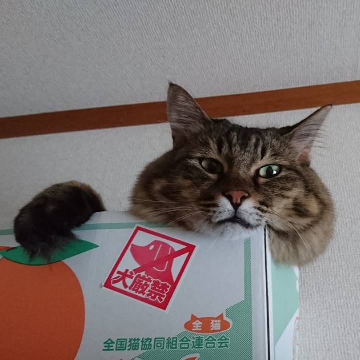 8c9a171f 3f06 4aa9 85aa cc5083a86042