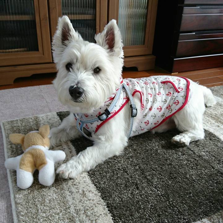 8c9a6804 e531 4d88 b06a f1ceb0a01ce1