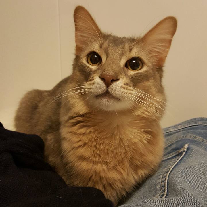 8c9a714f 95a1 4f56 a6c5 06023148a5e5