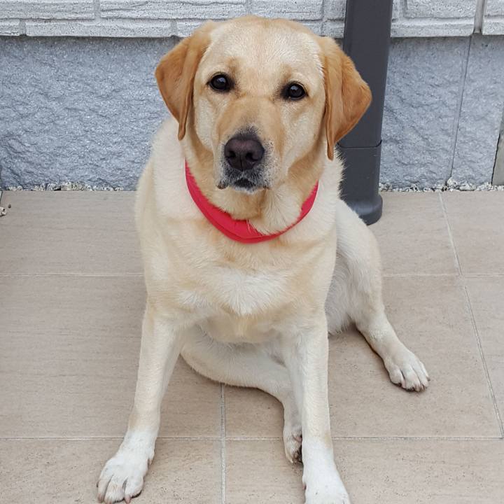 8c9b1e51 7a79 4df1 93d4 be46df2ee654