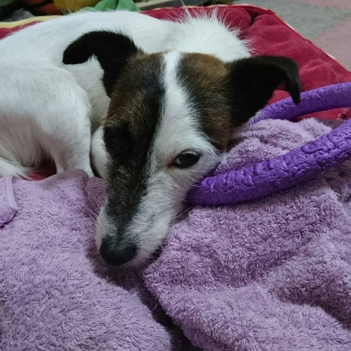 8c9b5dee b6d0 4c62 bdd5 3ce98b6cd10d