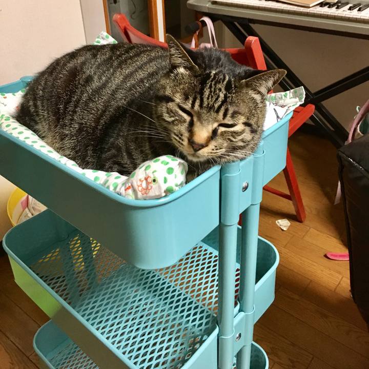 8c9b6138 5929 4235 98b1 8c6eb9e7dafe