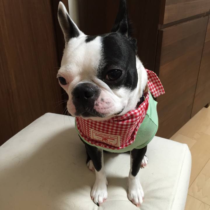 8c9c663e ffe7 419e ad29 c9e8897ba177