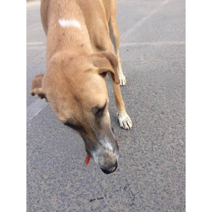 8c9c7725 eb61 4bb9 b591 a0c56fa6449b