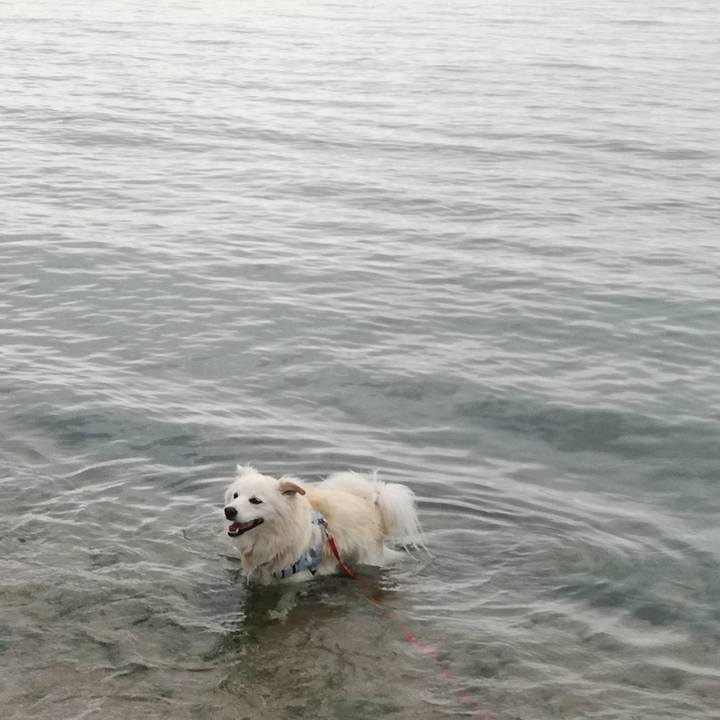 8c9c869d 3a5c 4147 82ef 8fc5298fb97f