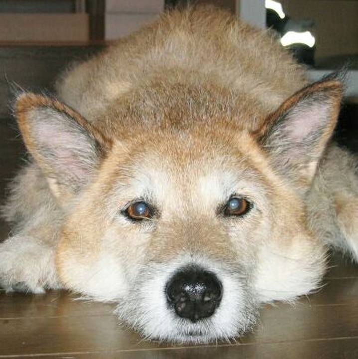 8c9cd39a c128 4e0b a54b e1ece9310eee