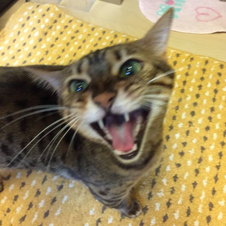 8c9d30cb 0644 4922 af86 cb2076639bc1