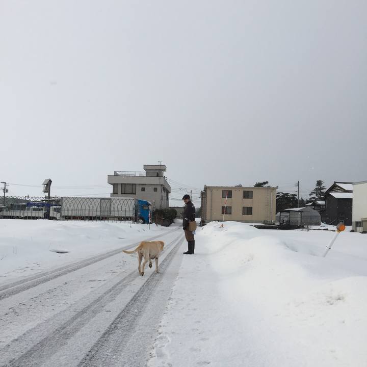 8c9d4c61 211f 4ebc 9aa0 f5297be74ae0