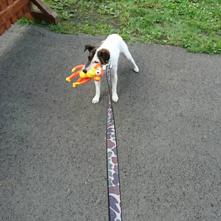 8c9ddbc1 0d6b 4d80 b502 76d993753fed