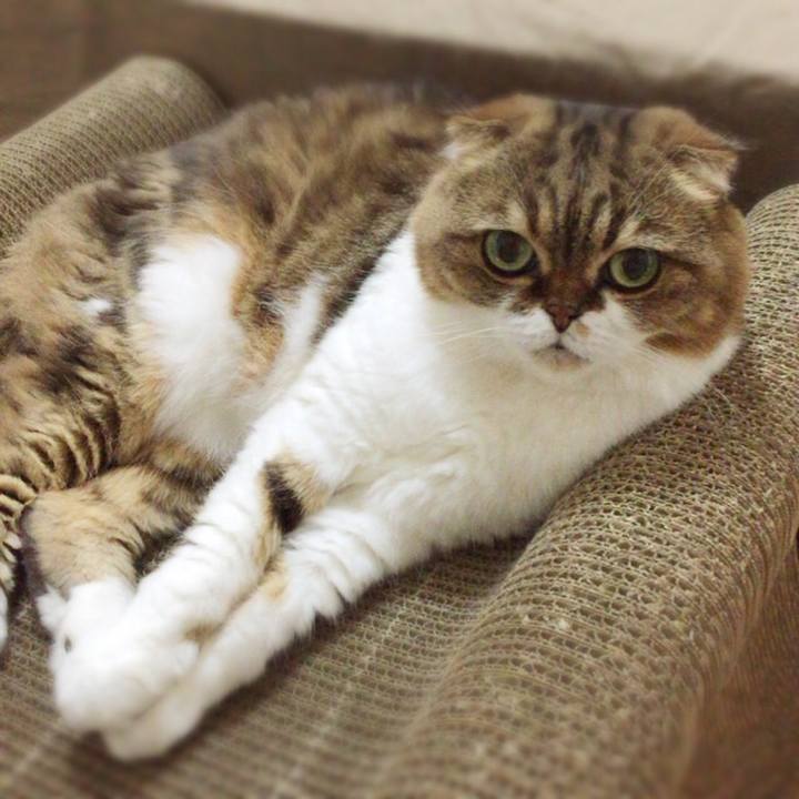 8c9ef263 11da 40a0 b826 9d9f34e8ffe0