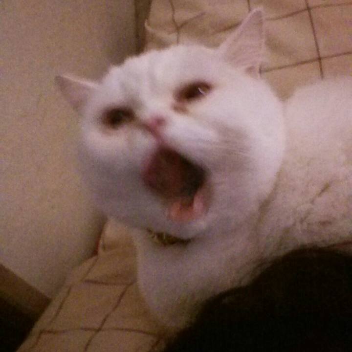 8c9f4f43 1476 4f53 af14 d2e27e6ce9a6