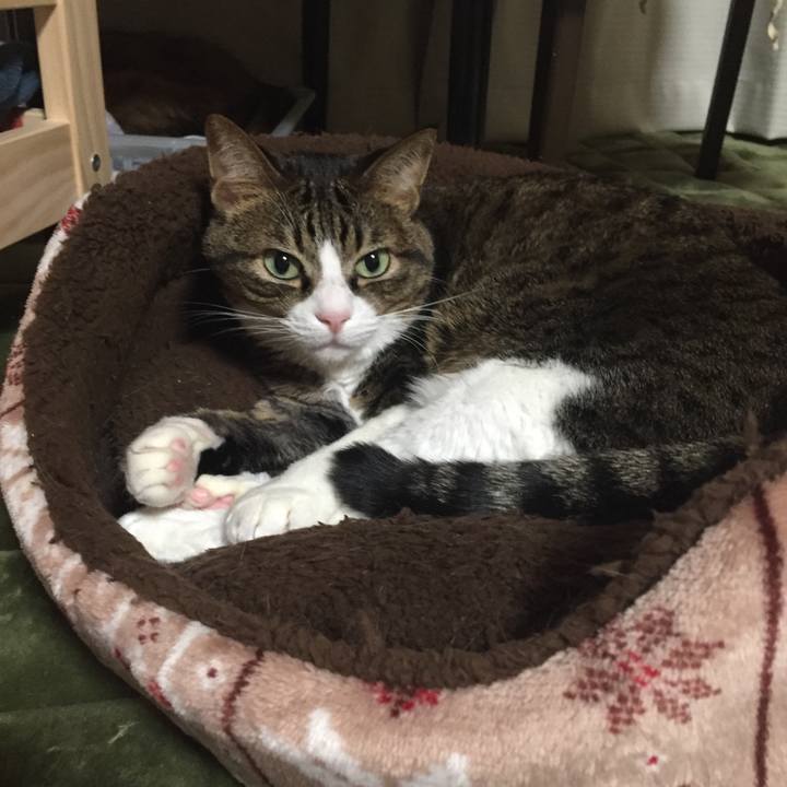 8c9fb1de f96c 46c8 bcda 83e298319eb6