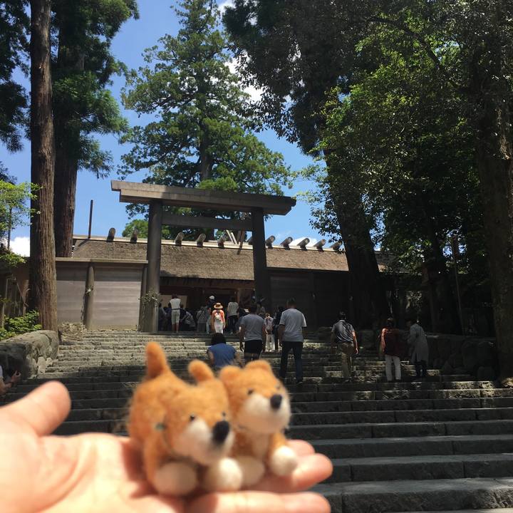 8c9fe99b d347 42b6 8fc5 27042aead2bc