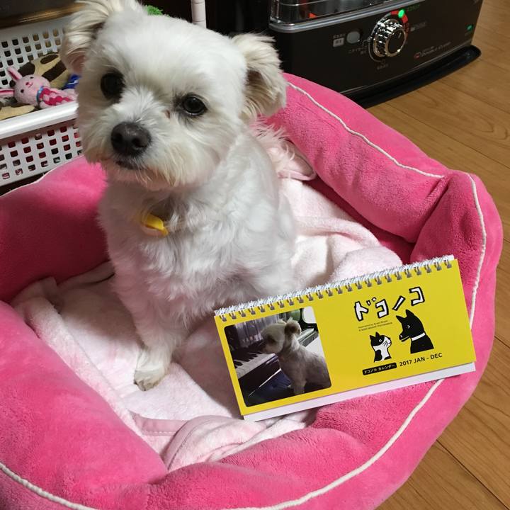 8c9ff20b 61b6 483a ac91 ce079fa3cca0